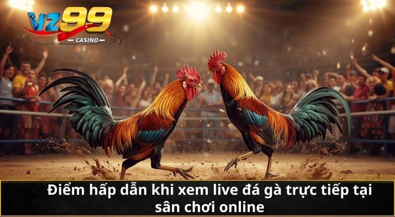Điểm hấp dẫn khi xem live đá gà trực tiếp tại sân chơi online