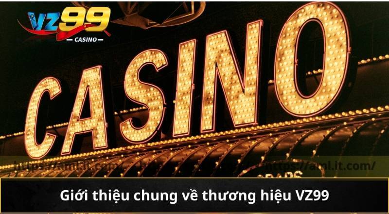 Giới thiệu chung về thương hiệu VZ99